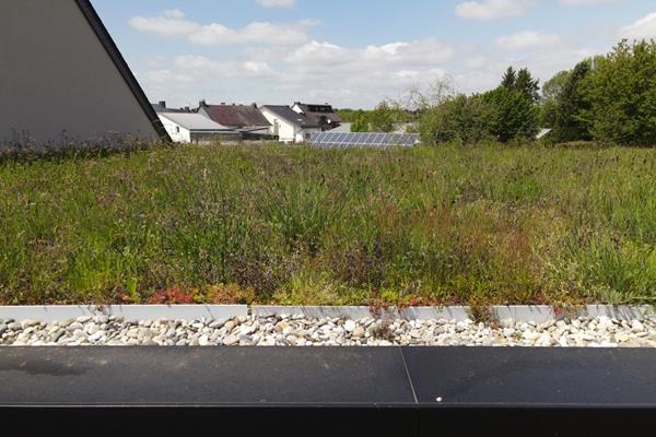 ©Roofland - Bâtiment à énergie zéro à St. Vith (B)