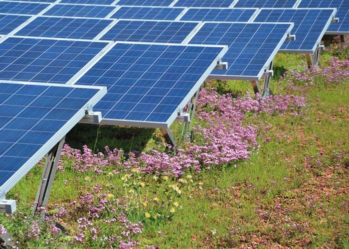 L'intégration de la photovoltaïque et de la toiture végétalisée propose une solution synergique qui combine les avantages des deux technologies. ©PAUL BAUDER GMBH & CO. KG
