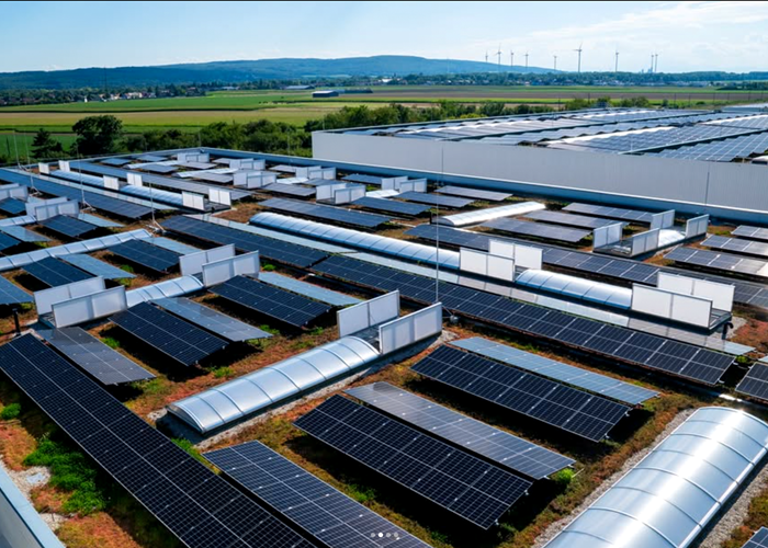 Toit végétalisé  ©Bauder.de