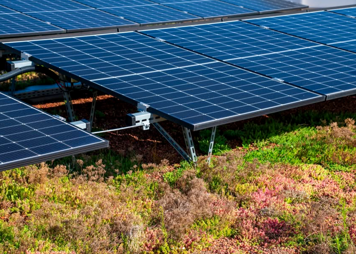 Toit végétalisé  ©Bauder.de